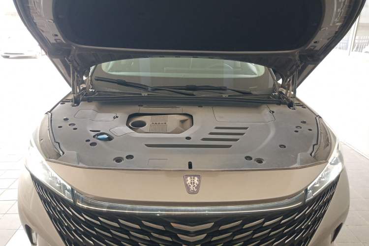Used Roewe RX5 New Energy 2023 eRX5 Super Hybrid Prestige Edition Engine Bay