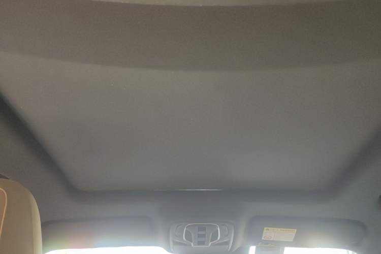 Used Roewe RX5 New Energy 2023 eRX5 Super Hybrid Prestige Edition Headliner