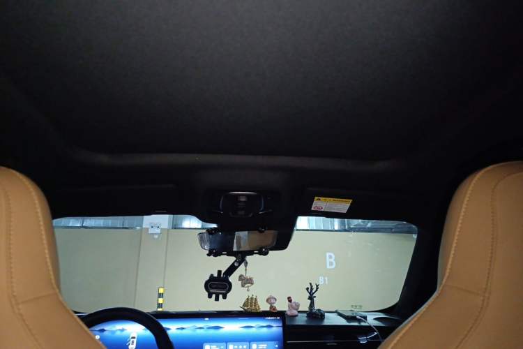 Used Roewe RX5 New Energy 2023 eRX5 Super Hybrid Prestige Edition Headliner