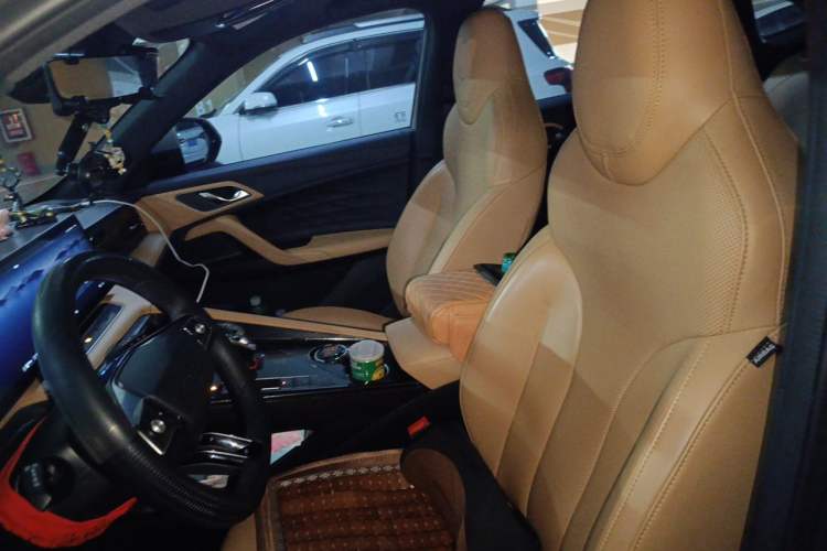 Used Roewe RX5 New Energy 2023 eRX5 Super Hybrid Prestige Edition Left Front Seat