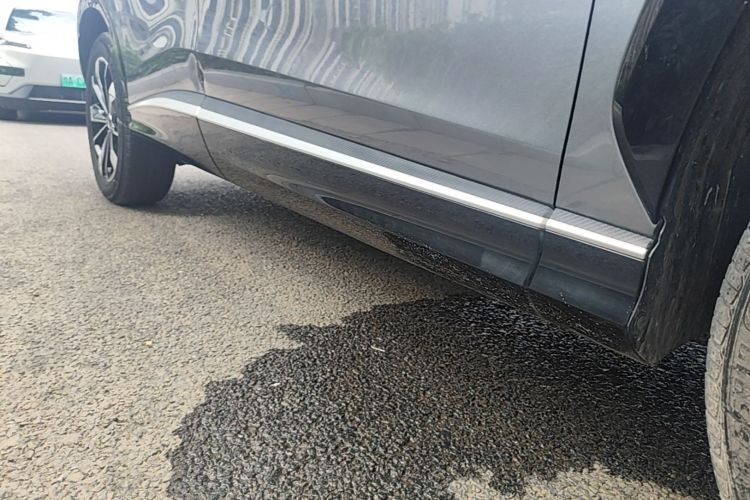 Used Roewe RX5 New Energy 2023 eRX5 Super Hybrid Prestige Edition Right Side Sill