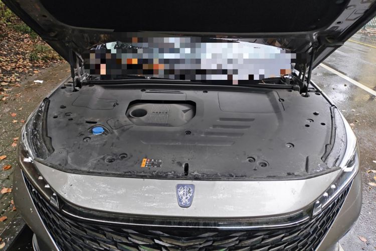 Used Roewe RX5 New Energy 2023 eRX5 Super Hybrid Prestige Edition Engine Bay
