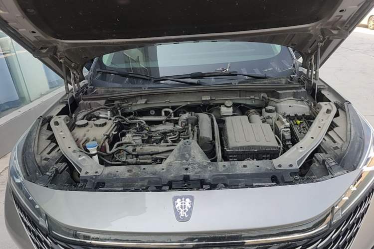 Used Roewe RX5 New Energy 2023 eRX5 Super Hybrid Prestige Edition Engine Bay