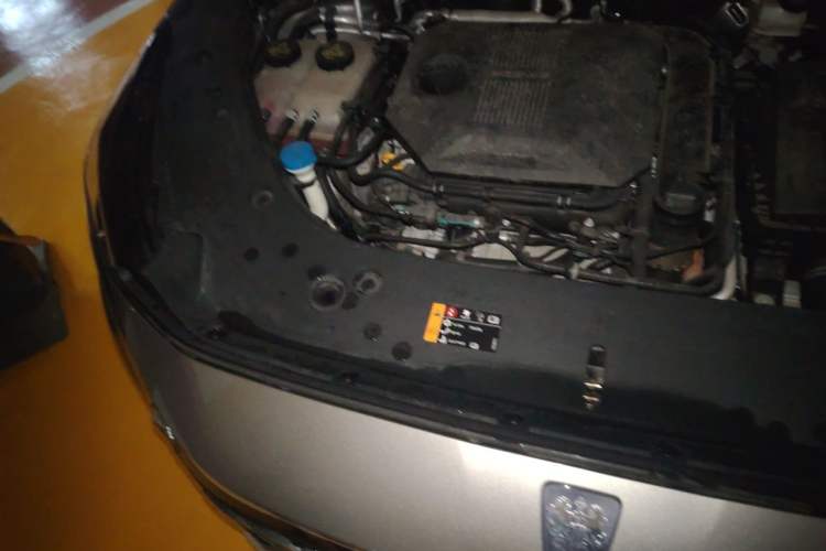Used Roewe RX5 New Energy 2023 eRX5 Super Hybrid Premium Edition Engine Bay Right