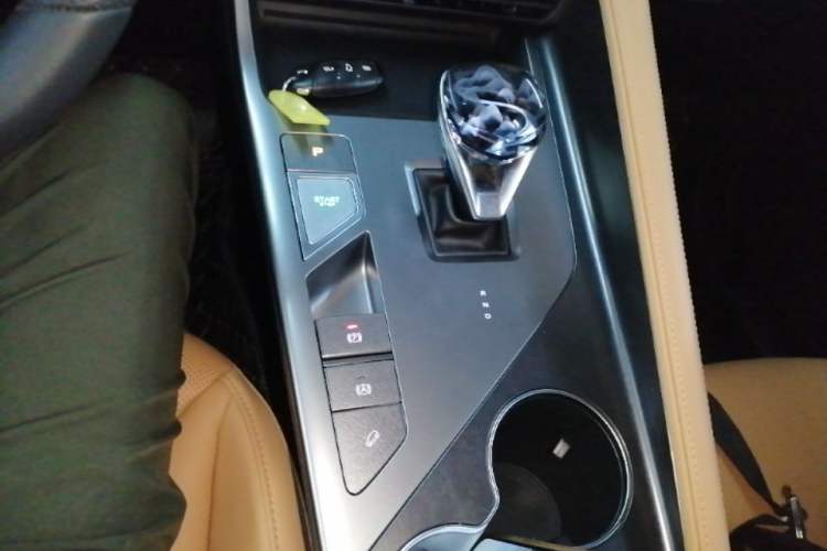 Used Roewe RX5 New Energy 2023 eRX5 Super Hybrid Premium Edition Gear Lever