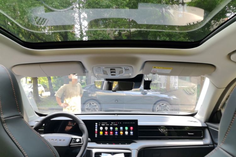 Used Roewe RX5 New Energy 2023 eRX5 Super Hybrid Premium Edition Headliner