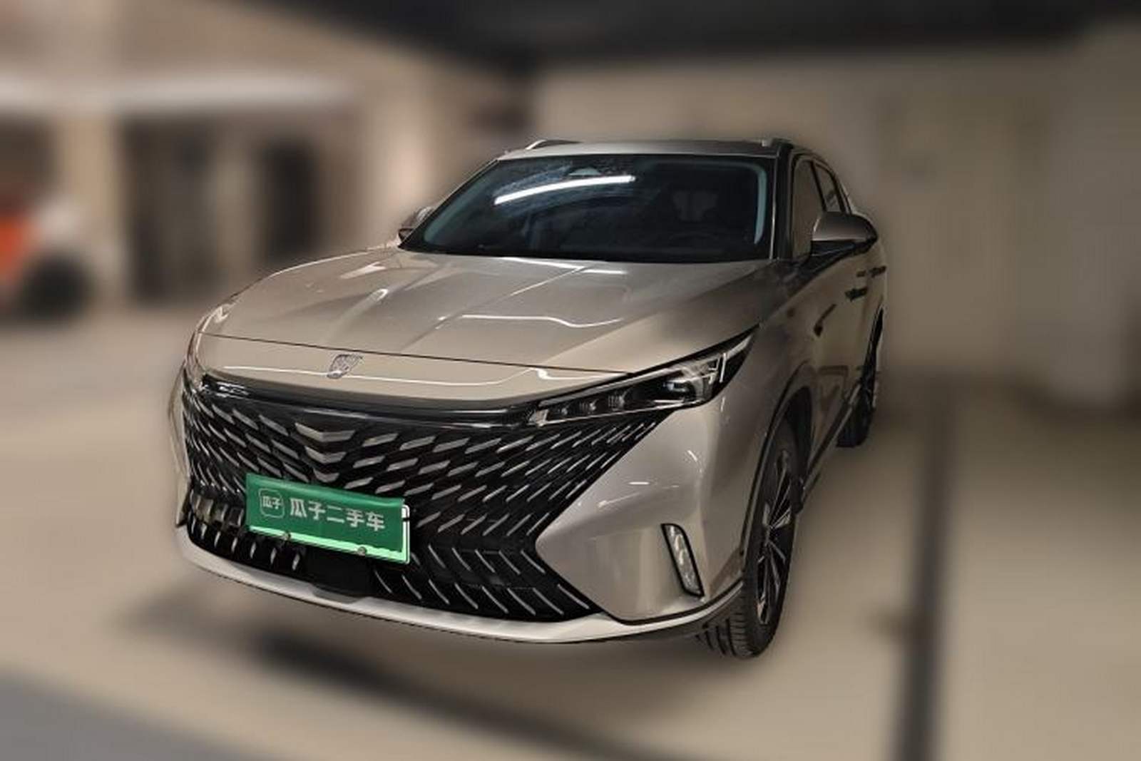 Фото Roewe с площадки