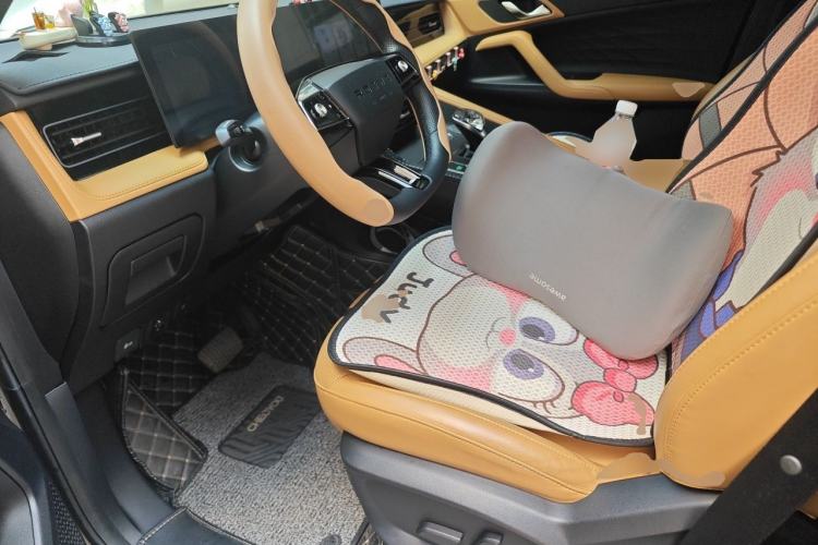 Used Roewe RX5 New Energy 2023 eRX5 Super Hybrid Premium Edition Left Front Seat
