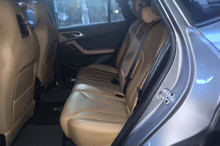 Used Roewe RX5 New Energy 2023 eRX5 Super Hybrid Prestige Edition Left Rear Seat