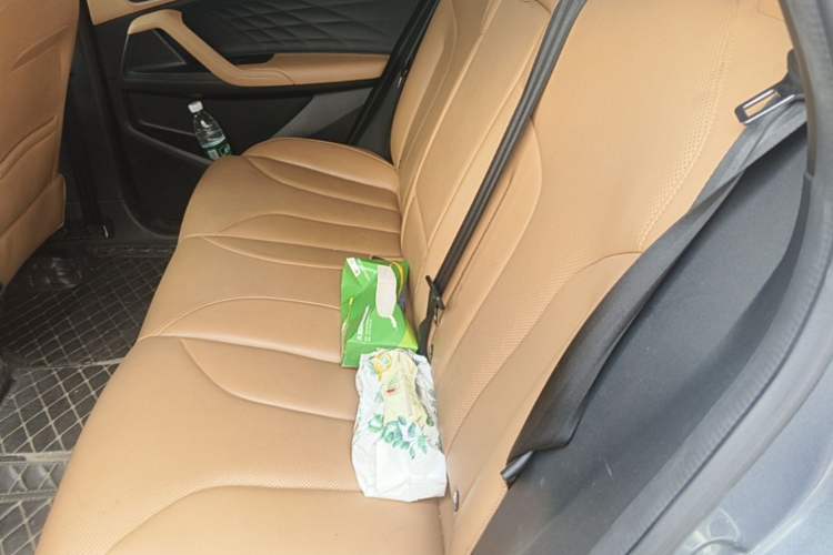 Used Roewe RX5 New Energy 2023 eRX5 Super Hybrid Prestige Edition Left Rear Seat
