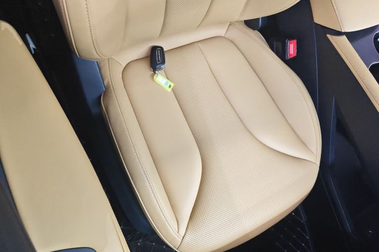 Used Roewe RX5 New Energy 2023 eRX5 Super Hybrid Premium Edition Right Front Seat