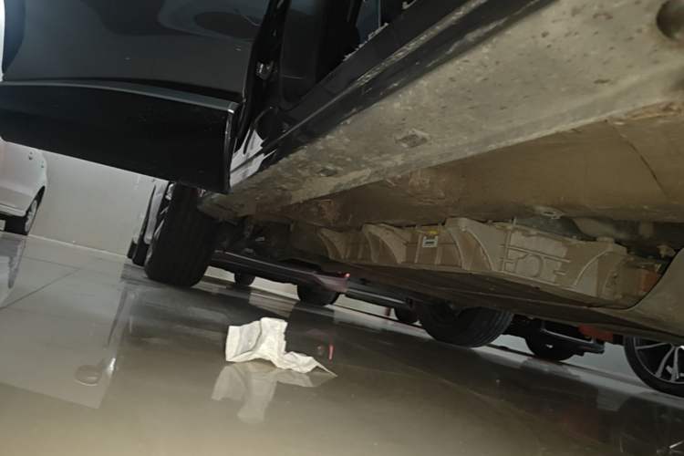 Used Roewe RX5 New Energy 2023 eRX5 Super Hybrid Premium Edition Right Side Sill