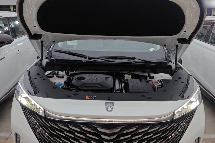 Used Roewe RX5 New Energy 2023 eRX5 Super Hybrid Premium Edition Engine Bay