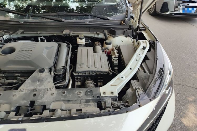 Used Roewe RX5 New Energy 2023 eRX5 Super Hybrid Prestige Edition Engine Bay Left