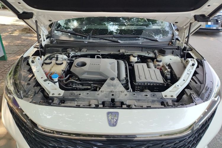 Used Roewe RX5 New Energy 2023 eRX5 Super Hybrid Prestige Edition Engine Bay