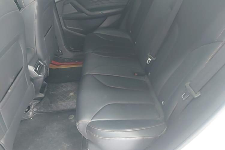 Used Roewe RX5 New Energy 2023 eRX5 Ultra-Hybrid Comfort Edition Left Rear Seat