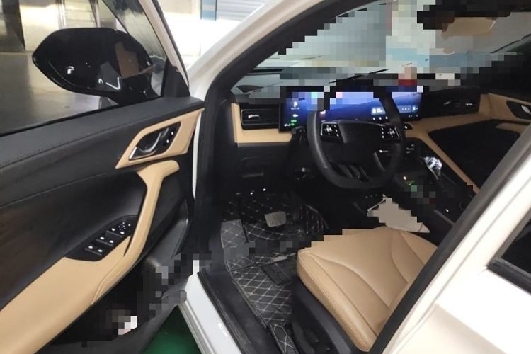 Used Roewe RX5 New Energy 2023 eRX5 Super Hybrid Premium Edition Right Front Seat