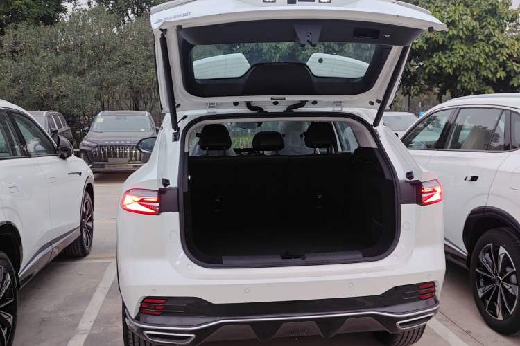 Used Roewe RX5 New Energy 2023 eRX5 Super Hybrid Premium Edition Trunk