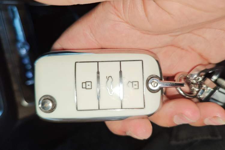 Used Roewe RX8 2019 30T Smart Connectivity Two-Wheel Drive Supreme Flagship Edition Vehicle Key