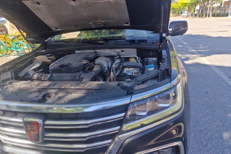 Used Roewe RX8 2018 30T Smart Connectivity Two-Wheel Drive Supreme Edition Engine Bay Left