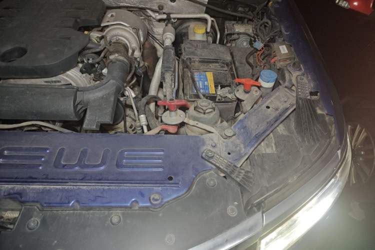 Used Roewe RX8 2018 30T Smart Connectivity All-Wheel Drive Supreme Edition Engine Bay Left