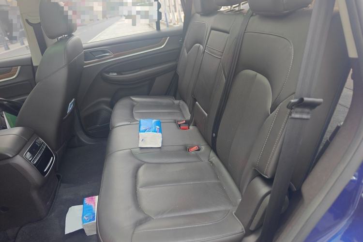Used Roewe RX8 2018 30T Smart Connectivity Two-Wheel Drive Flagship Edition Left Rear Seat