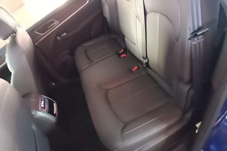 Used Roewe RX8 2018 30T Smart Connectivity Two-Wheel Drive Flagship Edition Left Rear Seat