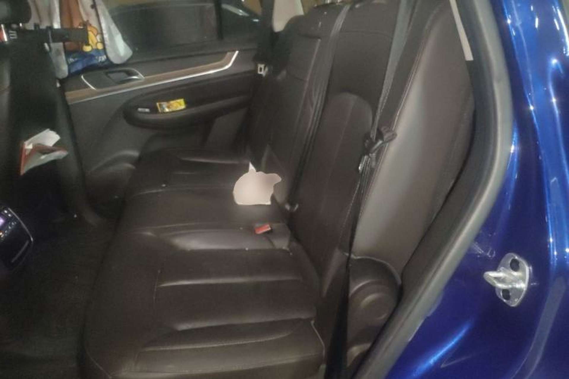 Used Roewe RX8 2018 30T Smart Connectivity Four-Wheel Drive Flagship Edition Left Rear Seat