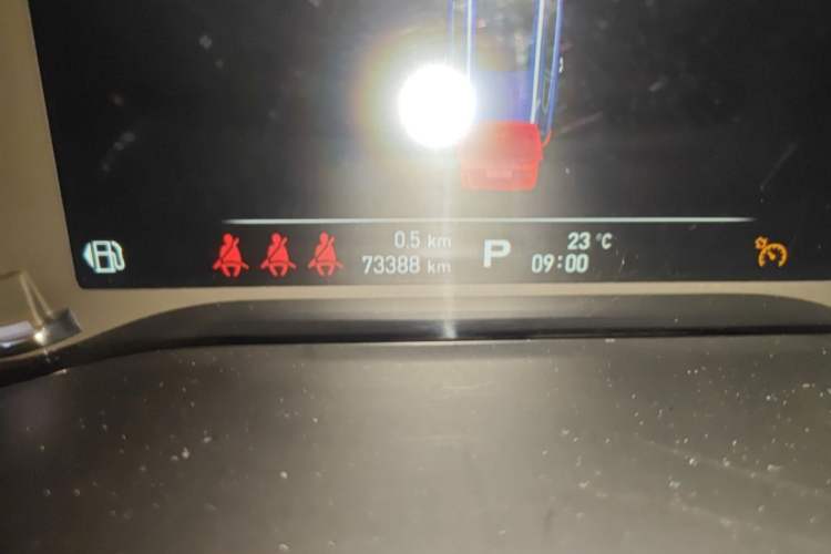 Used Roewe RX8 2018 30T Smart Connectivity Two-Wheel Drive Flagship Edition Odometer Close Up