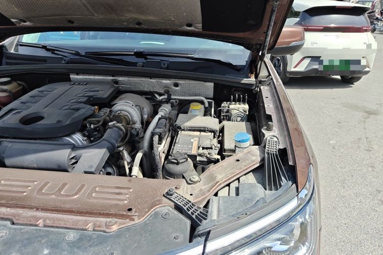 Used Roewe RX8 2018 30T Smart Connectivity Two-Wheel Drive Supreme Edition Engine Bay Left