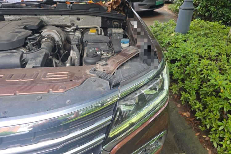 Used Roewe RX8 2018 30T Smart Connectivity Four-Wheel Drive Flagship Edition Engine Bay Left