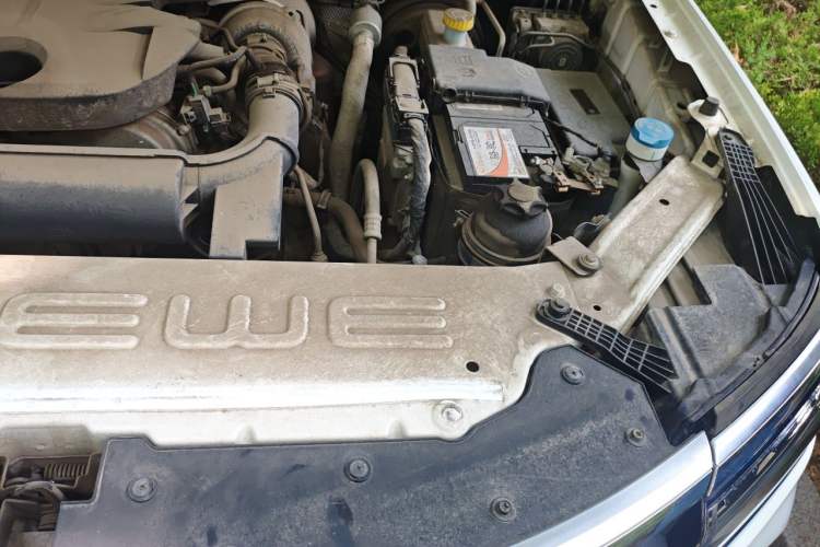 Used Roewe RX8 2018 30T Smart Connectivity Two-Wheel Drive Flagship Edition Engine Bay Left