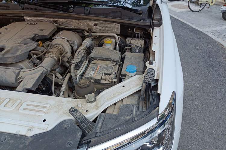 Used Roewe RX8 2018 30T Smart Connectivity Two-Wheel Drive Flagship Edition Engine Bay Left