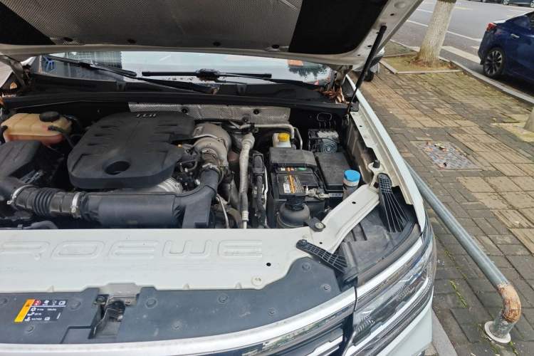 Used Roewe RX8 2018 30T Smart Connectivity Two-Wheel Drive Flagship Edition Engine Bay Left