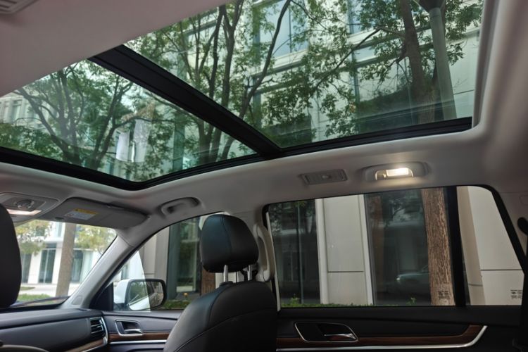 Used Roewe RX8 2018 30T Smart Connectivity Two-Wheel Drive Flagship Edition Headliner