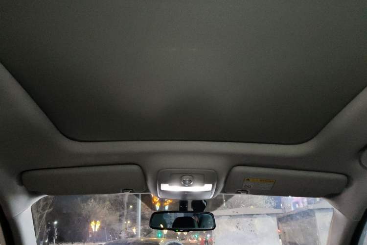 Used Roewe RX8 2018 30T Smart Connectivity Four-Wheel Drive Flagship Edition Headliner