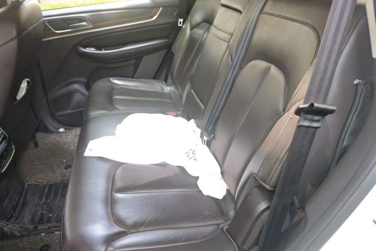 Used Roewe RX8 2018 30T Smart Connectivity Two-Wheel Drive Flagship Edition Left Rear Seat