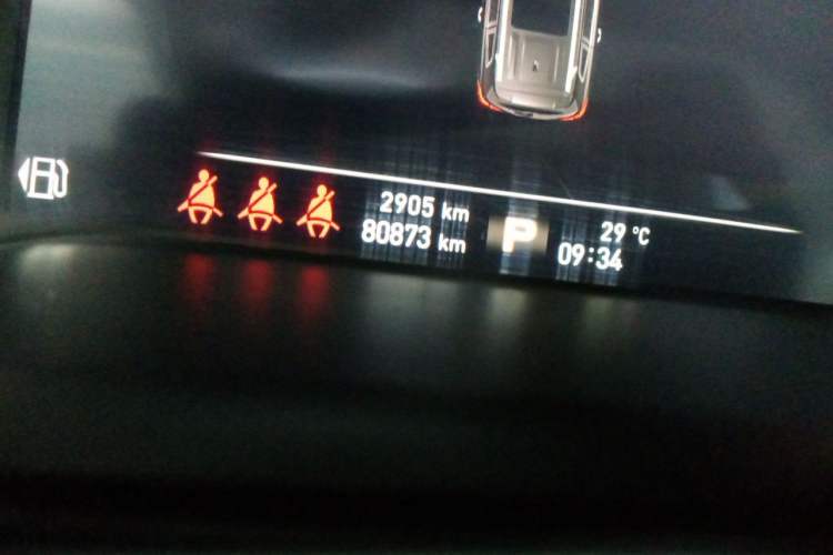 Used Roewe RX8 2019 30T Smart Connectivity Two-Wheel Drive Supreme Flagship Edition Odometer Close Up