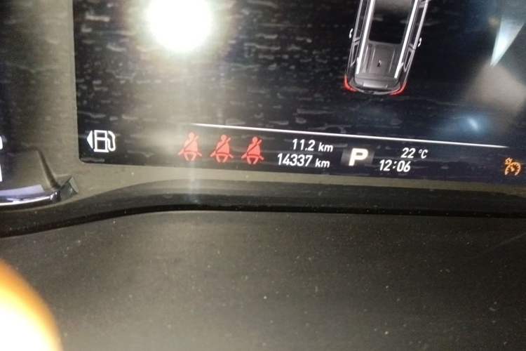 Used Roewe RX8 2019 30T Smart Connectivity Two-Wheel Drive Supreme Flagship Edition Odometer Close Up