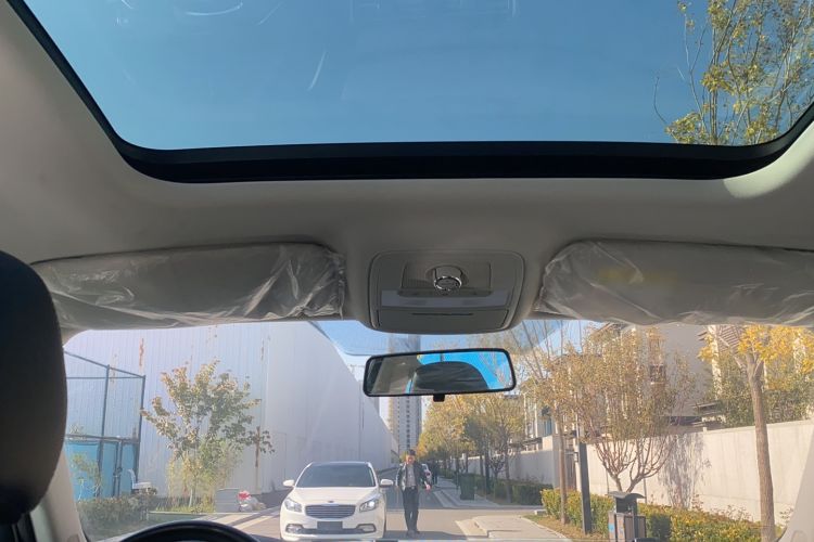 Used Roewe RX8 2019 30T Two-Wheel Drive Supreme Flagship Edition Headliner