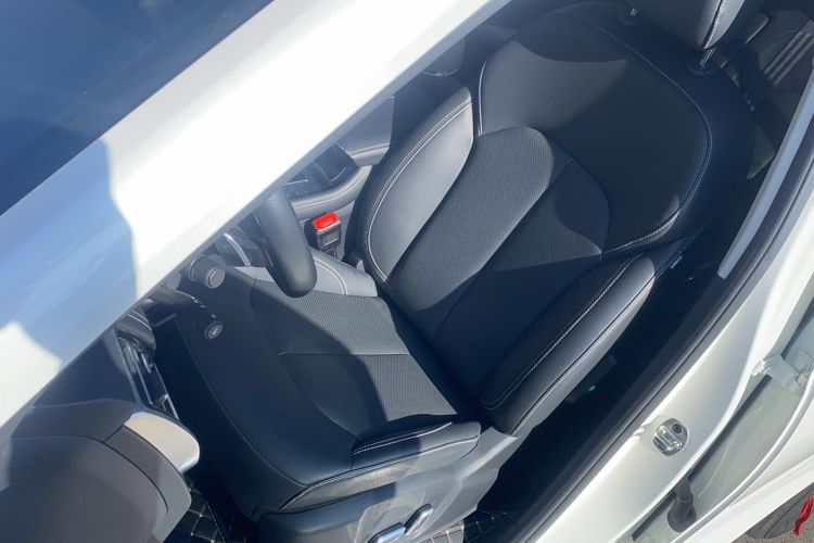 Used Roewe RX8 2019 30T Two-Wheel Drive Supreme Flagship Edition Left Front Seat