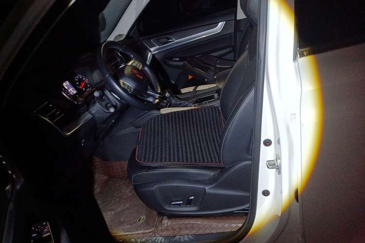 Used Roewe RX8 2019 30T Two-Wheel Drive Supreme Flagship Edition Left Front Seat