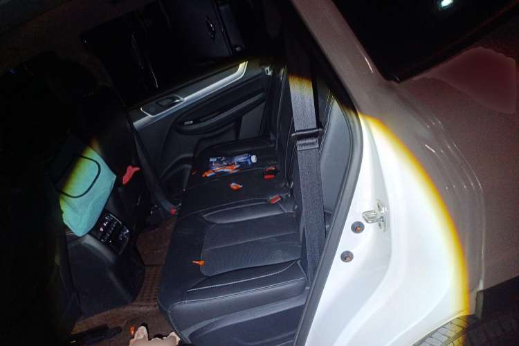 Used Roewe RX8 2019 30T Two-Wheel Drive Supreme Flagship Edition Left Rear Seat