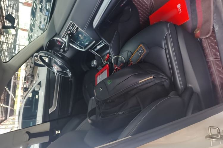 Used Roewe RX8 2019 30T Two-Wheel Drive Supreme Flagship Edition Right Front Seat