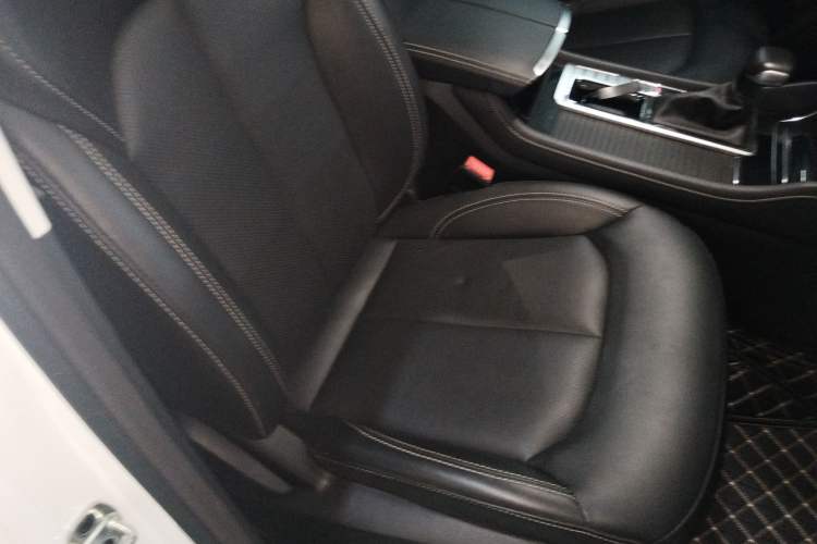 Used Roewe RX8 2019 30T Two-Wheel Drive Supreme Flagship Edition Right Front Seat
