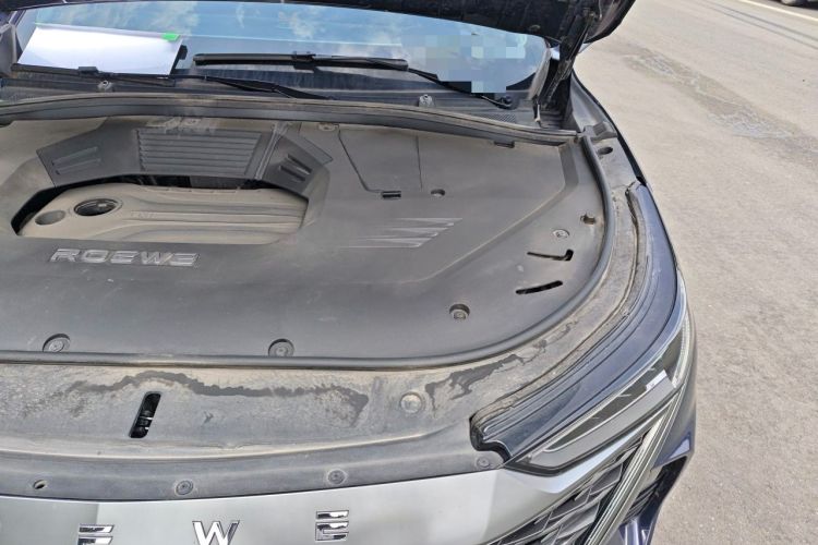 Used Roewe RX9 2023 2.0T Two-Wheel Drive Enjoyment Version Engine Bay Left