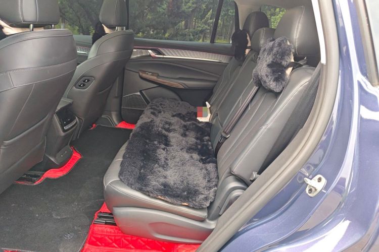 Used Roewe RX9 2023 2.0T Two-Wheel Drive Enjoyment Version Left Rear Seat