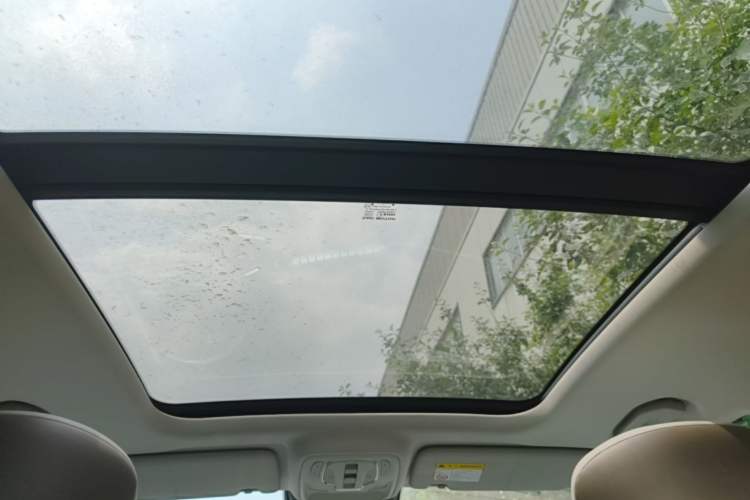 Used Roewe RX9 2023 2.0T Two-Wheel Drive Enjoyment Version Headliner
