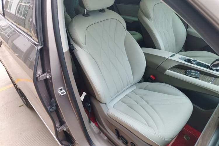 Used Roewe RX9 2023 2.0T Two-Wheel Drive Enjoyment Version Right Front Seat