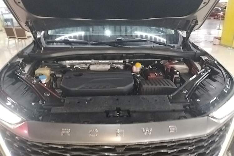 Used Roewe RX9 2023 2.0T Two-Wheel Drive Enjoyment Version Engine Bay